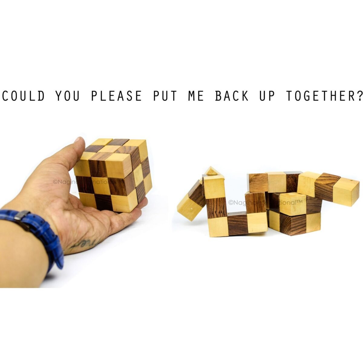 3D Snake Puzzle (2) 3D Snake Puzzle (2)