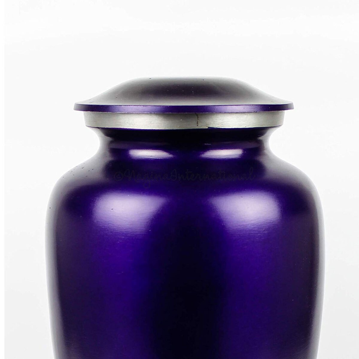 61nPloMUYBL._SL1500_ 61nPloMUYBL._SL1500_