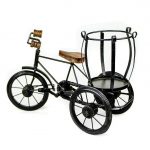 Cycle (Wagon) (3)