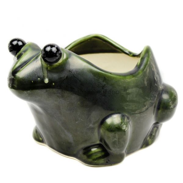 Nagina International White Frog Ceramic Standing Planter | Ceramic Home Elements Decor