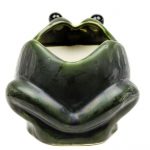 Green Frog (5)