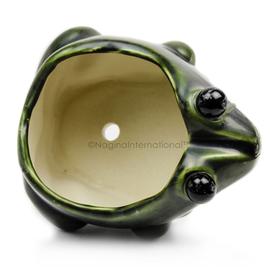 Green Frog (6) Green Frog (6)