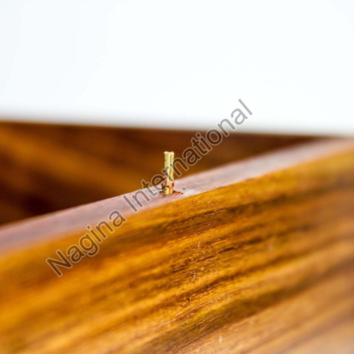 Large-Rounded-Corner-Box-6 Large-Rounded-Corner-Box-6