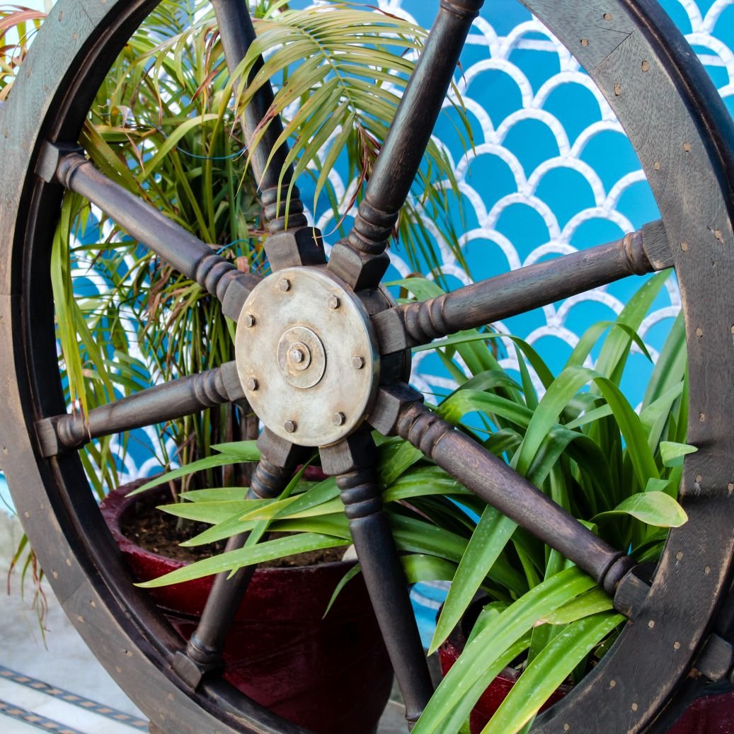 11-02-2019IMG_6854-2 11-02-2019IMG_6854-2