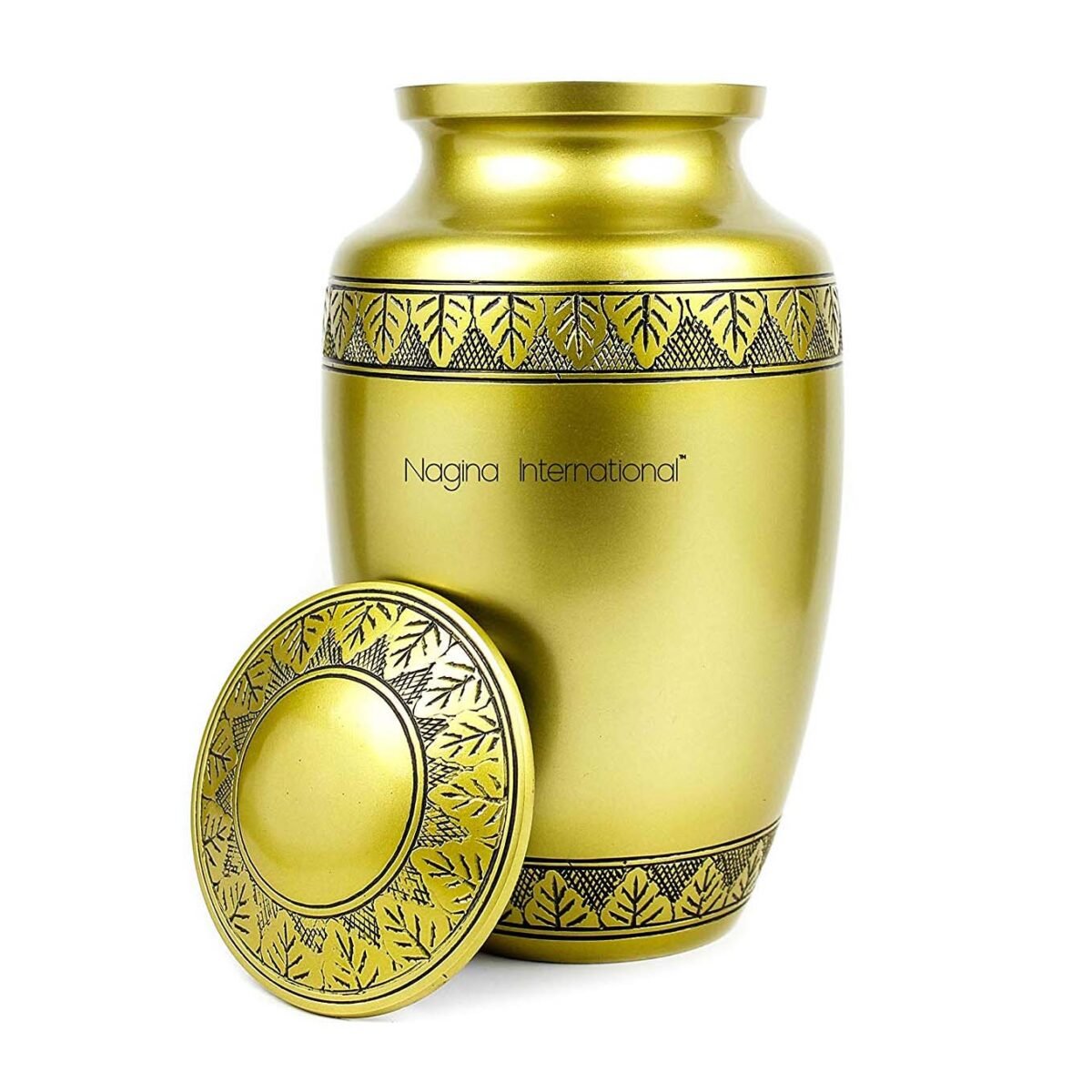 81ME6bjf0lL._SL1500_ 81ME6bjf0lL._SL1500_