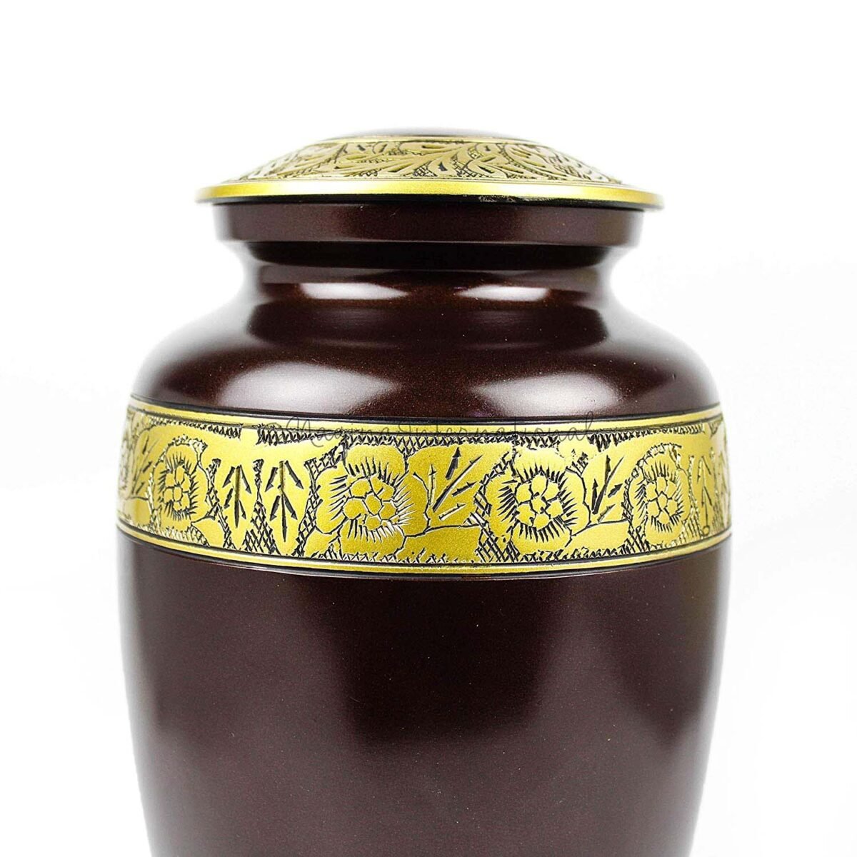 81npCkGzWgL._SL1500_ 81npCkGzWgL._SL1500_