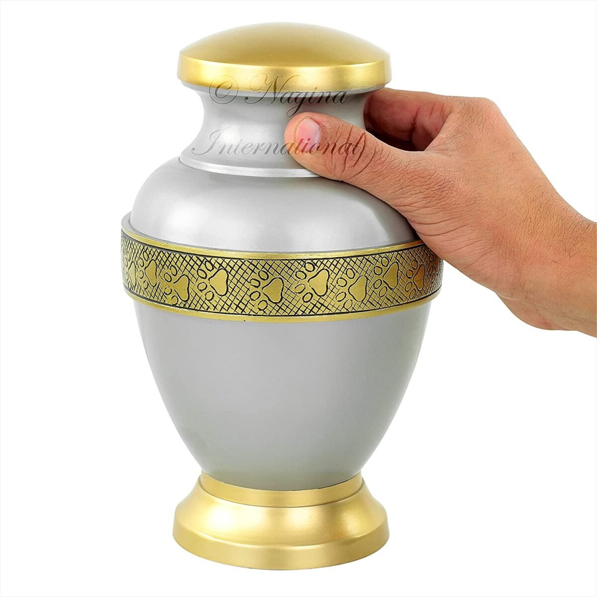 810Ycio8Z5S._AC_SL1500_ 810Ycio8Z5S._AC_SL1500_