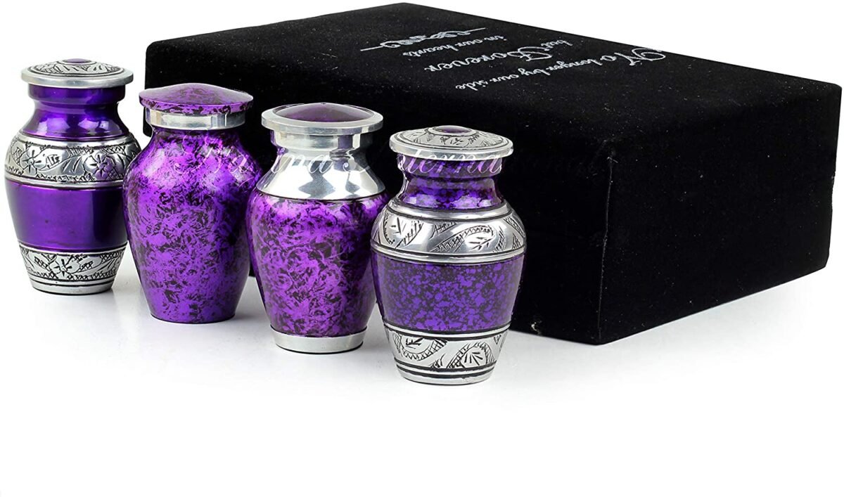 81x0FKBP3DL._AC_SL1500_ 81x0FKBP3DL._AC_SL1500_