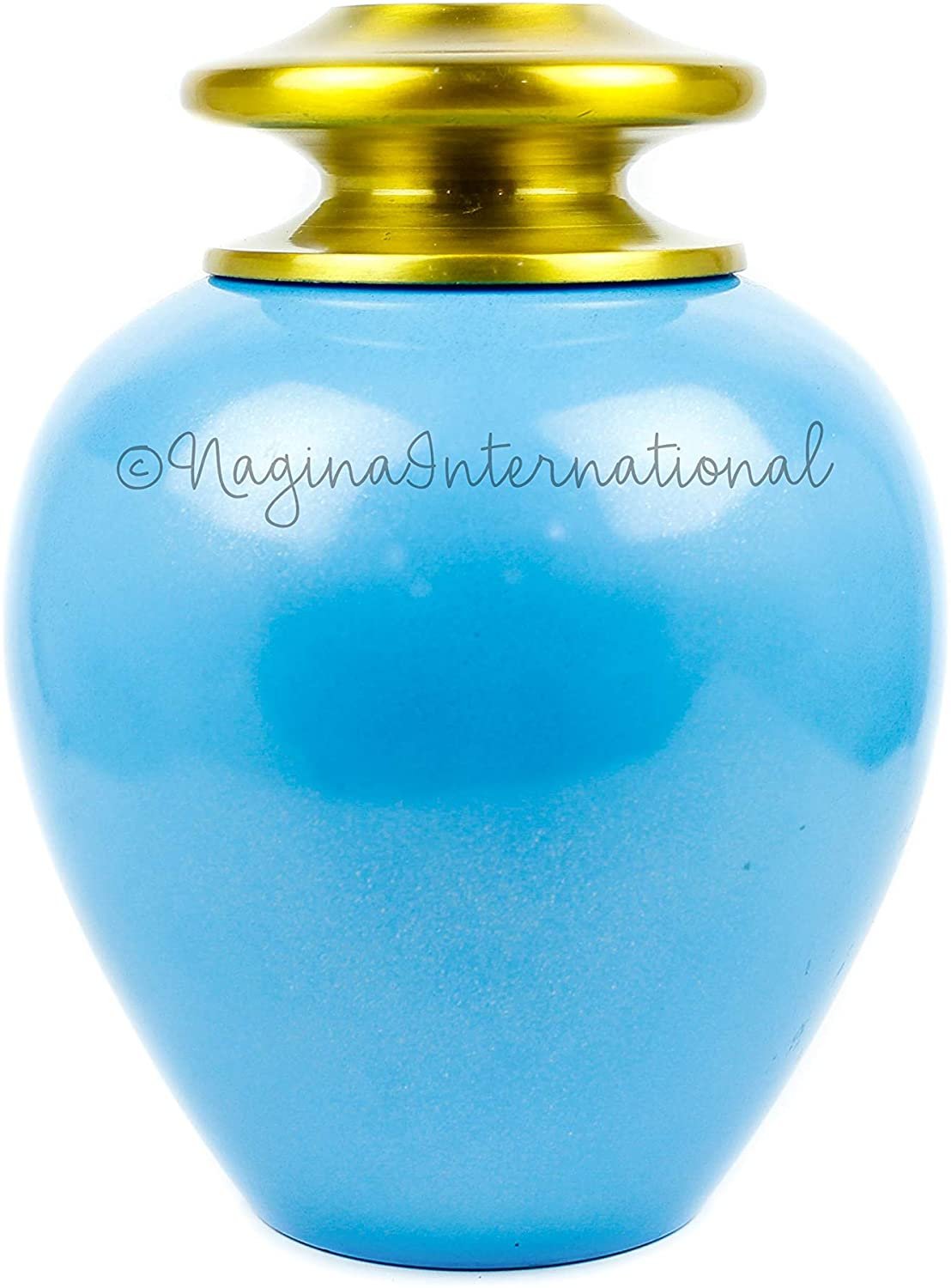 71Gxv11818L._AC_SL1500_ 71Gxv11818L._AC_SL1500_