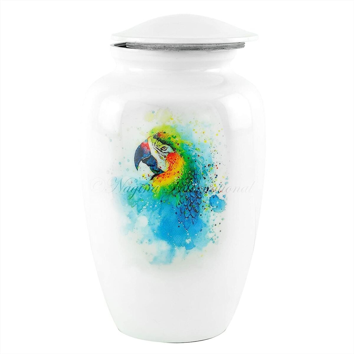 71ZqsW7IJfL._AC_SL1500_ 71ZqsW7IJfL._AC_SL1500_