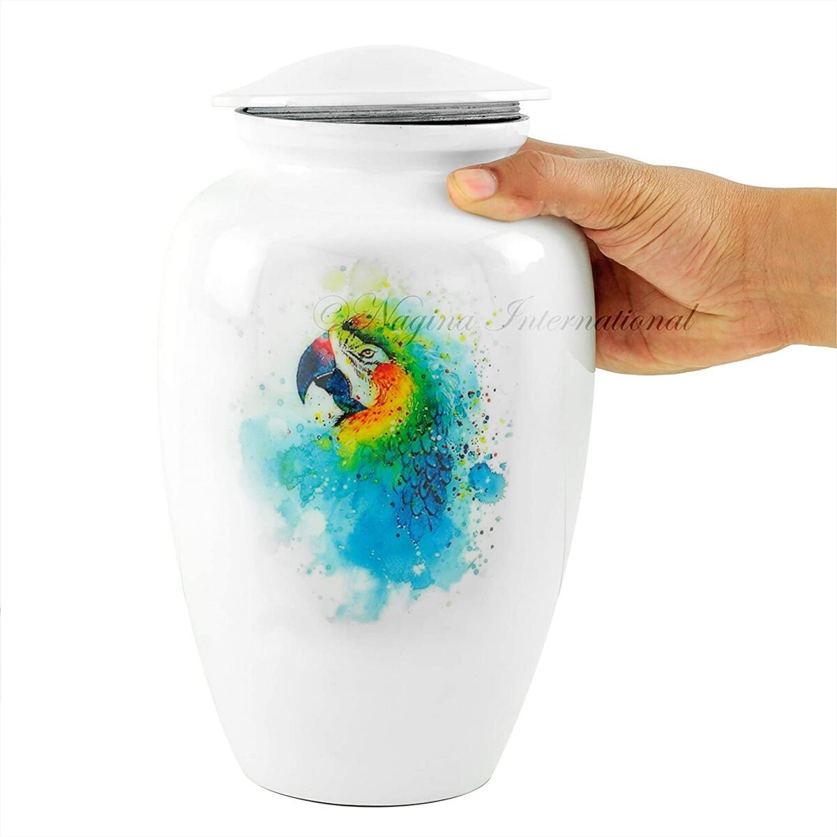 812rQiTXW4L._AC_SL1500_ 812rQiTXW4L._AC_SL1500_