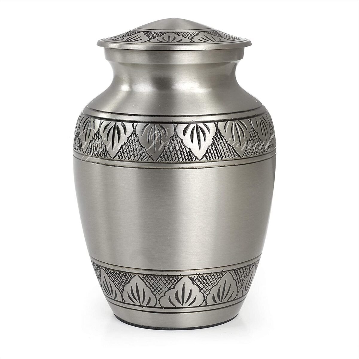 81BNuqF1QLL._AC_SL1500_ 81BNuqF1QLL._AC_SL1500_