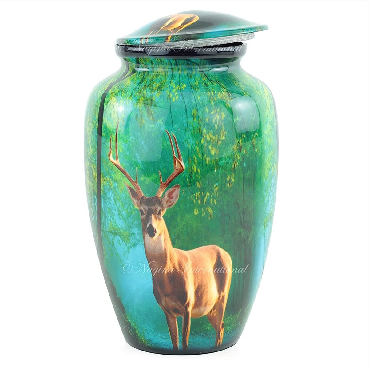 81C5THtI-wL._AC_SL1500_ 81C5THtI-wL._AC_SL1500_