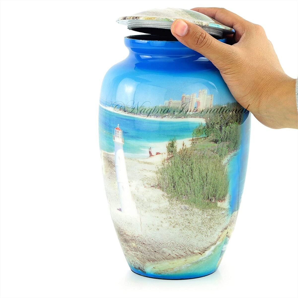 81H9axOyrbL._AC_SL1500_ 81H9axOyrbL._AC_SL1500_