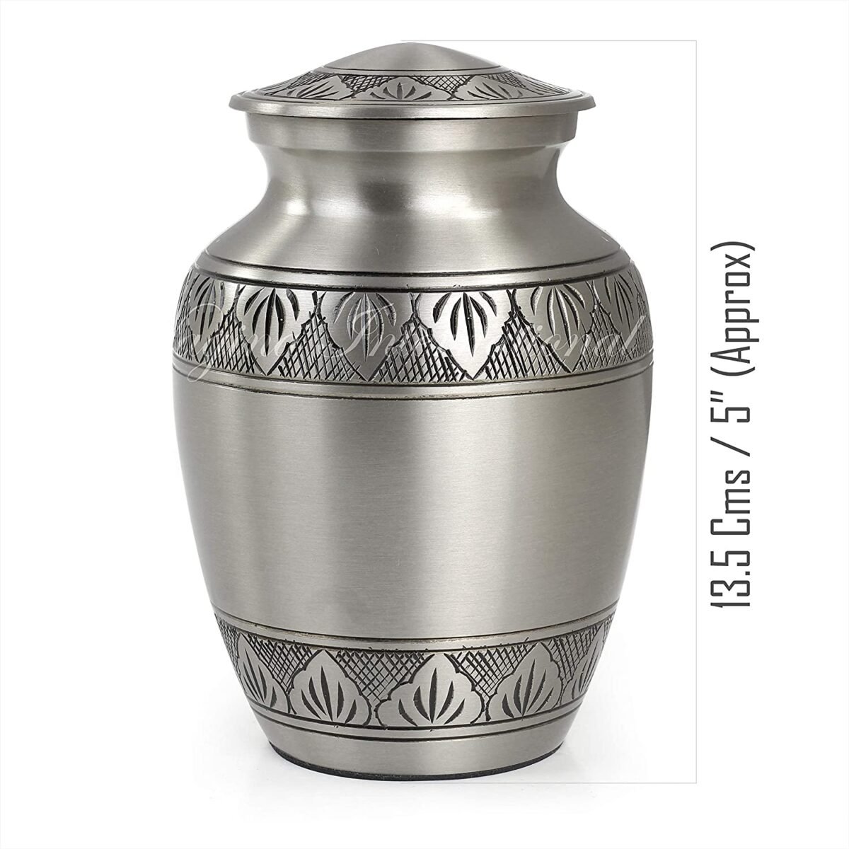 81Mx6e4NY+L._AC_SL1500_ 81Mx6e4NY+L._AC_SL1500_