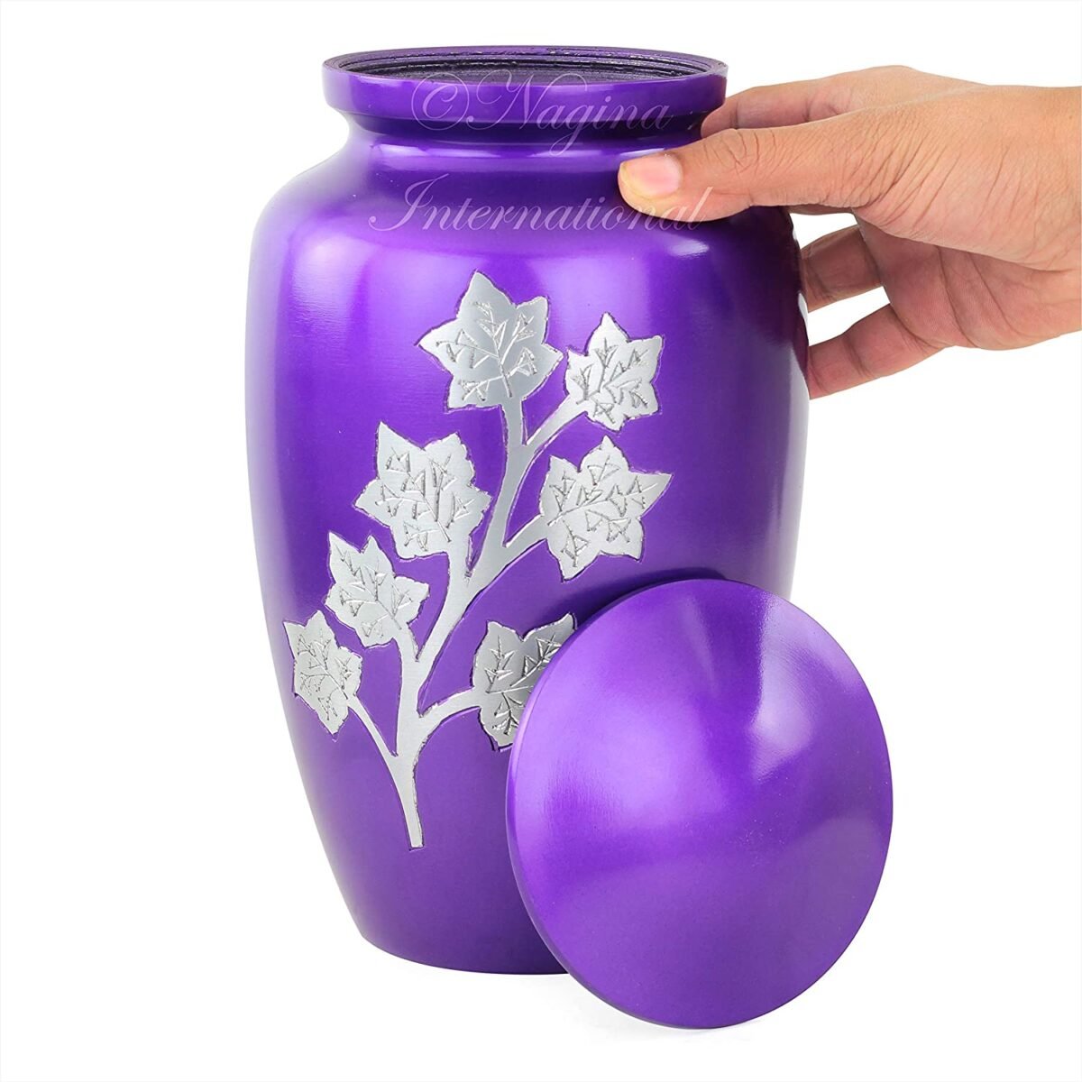 81Sl8leBWDL._AC_SL1500_ 81Sl8leBWDL._AC_SL1500_