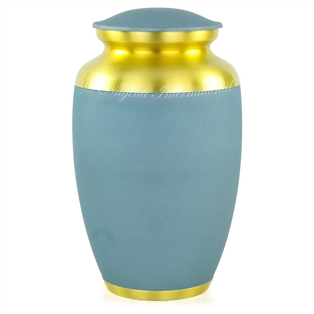 81Y0efGhGzL._AC_SL1500_ 81Y0efGhGzL._AC_SL1500_