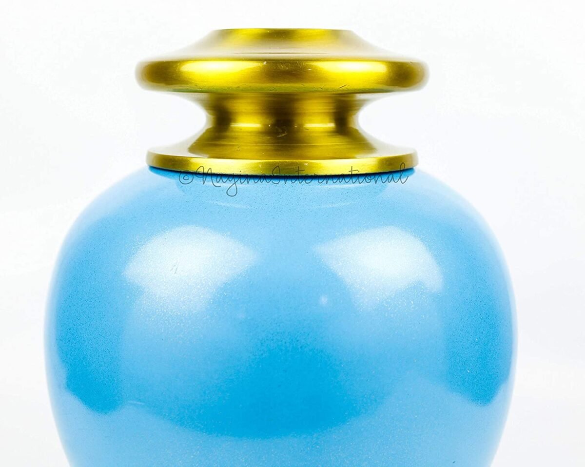 81bzZjzGicL._AC_SL1500_ 81bzZjzGicL._AC_SL1500_