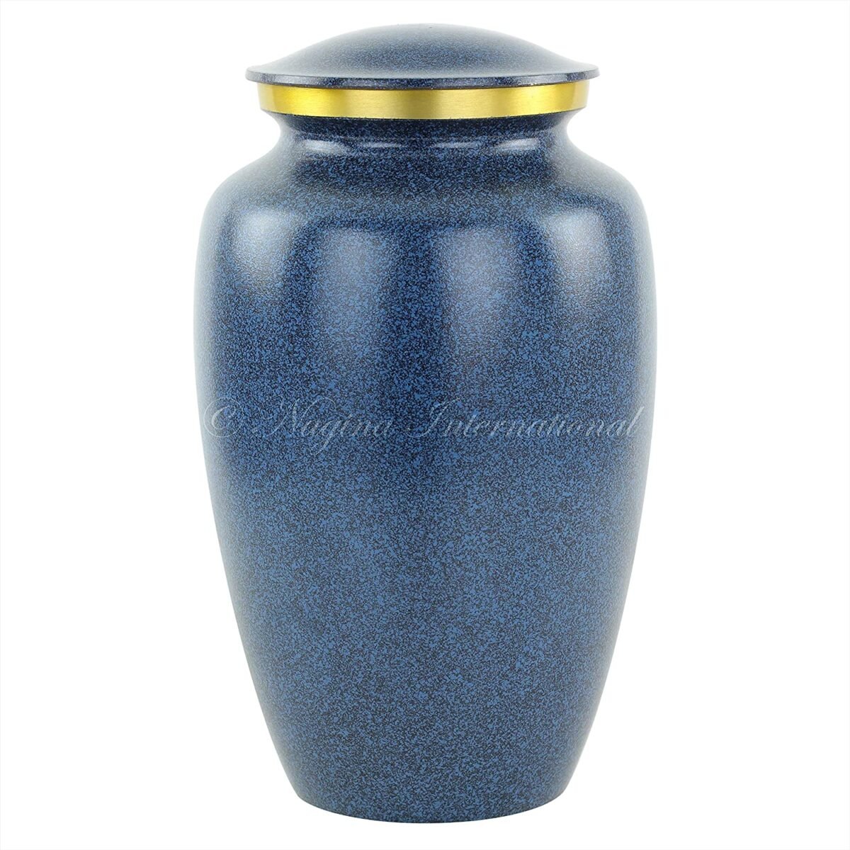 91DDDuPb9cL._AC_SL1500_ 91DDDuPb9cL._AC_SL1500_