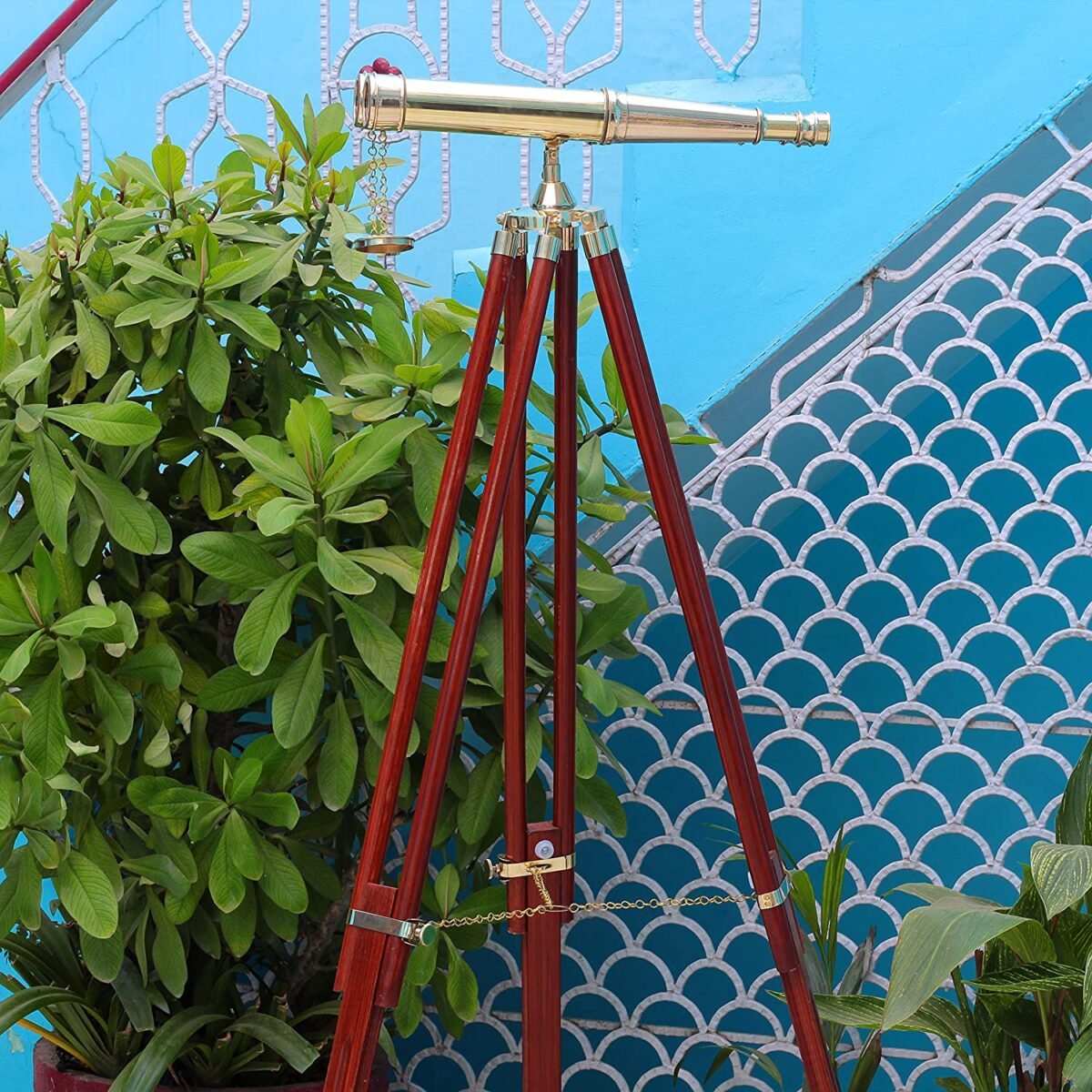 91qSipuj9gL._AC_SL1500_ (1) 91qSipuj9gL._AC_SL1500_ (1)