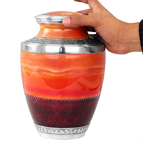 Version 1.0.0 Version 1.0.0